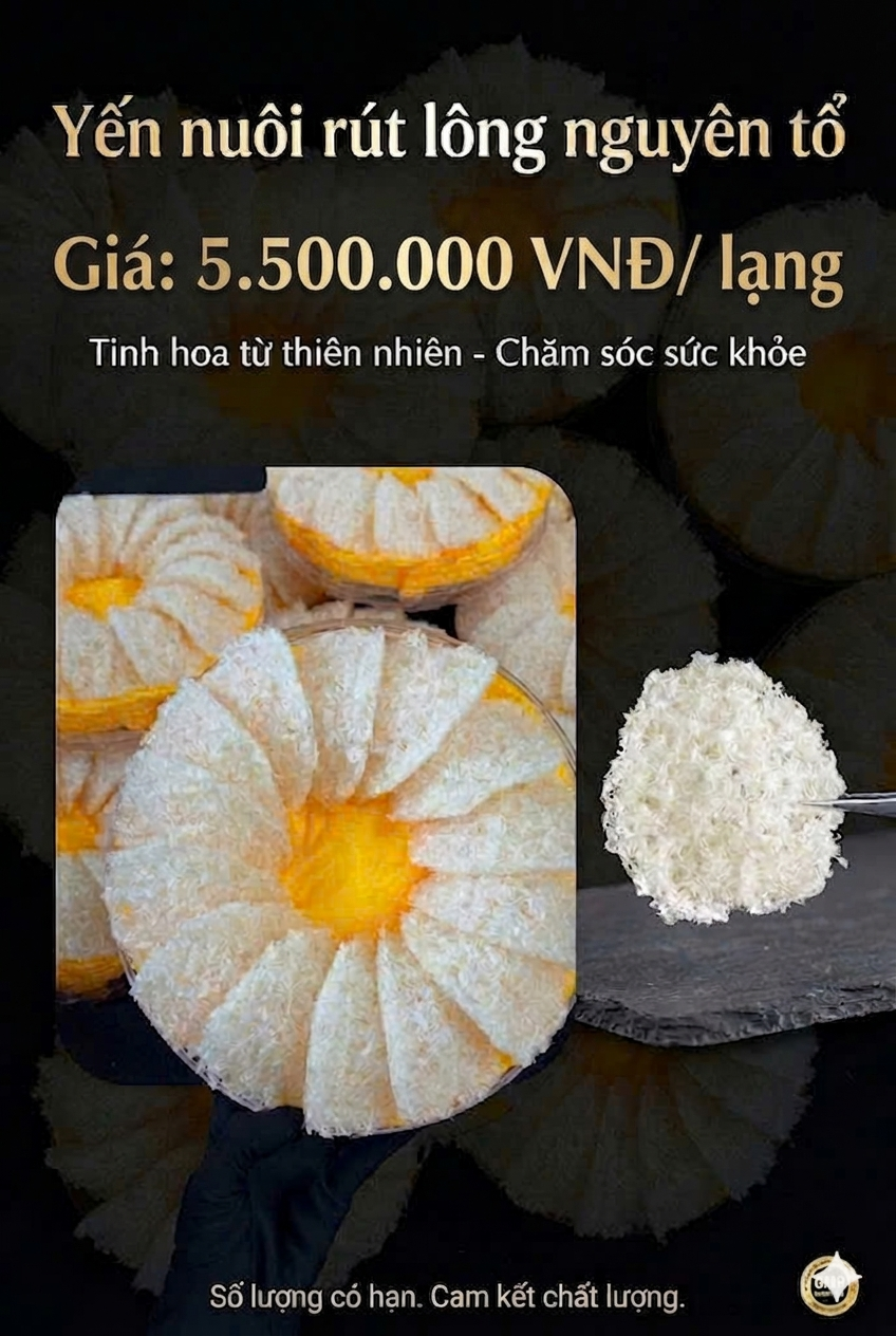 Combo  Yến Nuôi Rút Lông - Nguyên Tổ